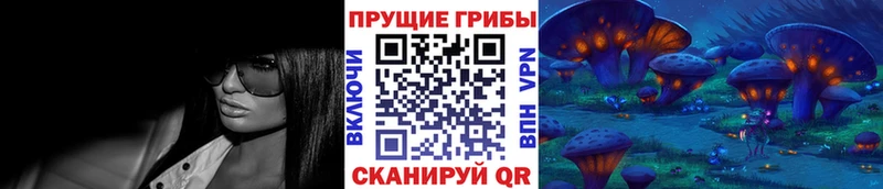 Псилоцибиновые грибы Psilocybine cubensis  наркотики  Щёкино 